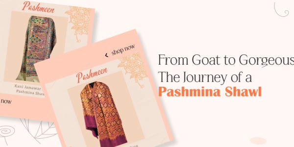 From Goat to Gorgeous: The Journey of a Pashmina Shawl